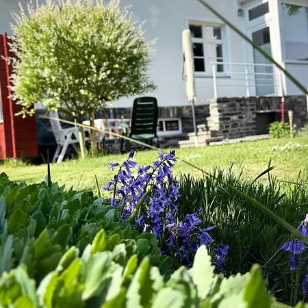 Apartmán Sonnige Helene Thalheim (Erzgebirgskreis)